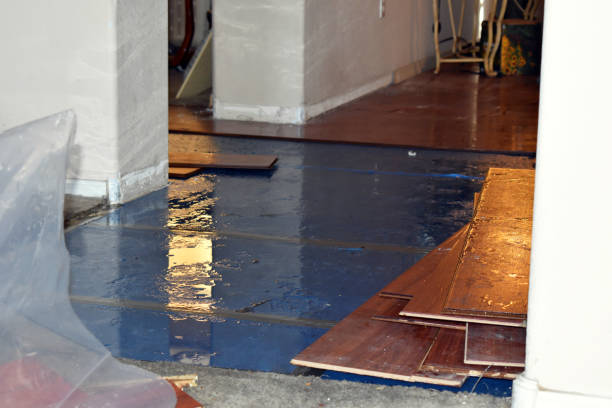 Professional Basement Flood Cleanup technician working in Southport, IN